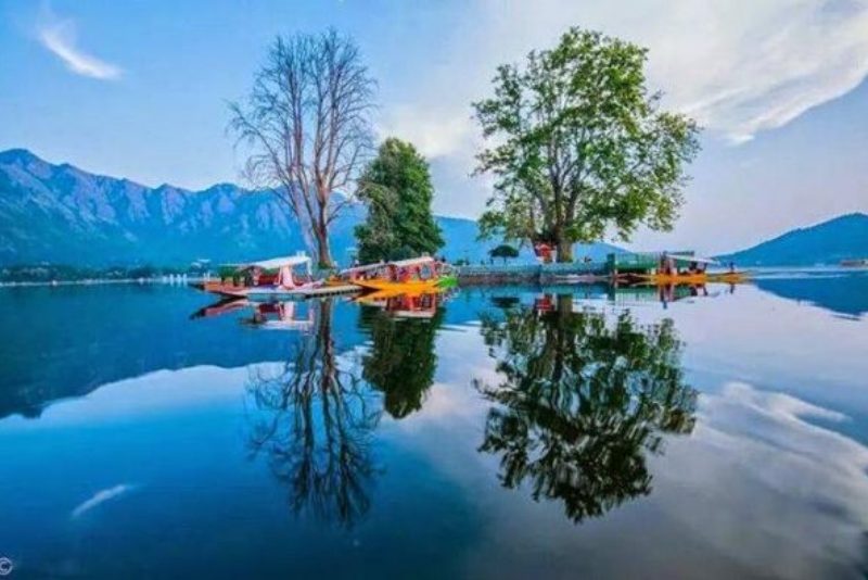 Char-Chinar-Dal-lake-Srinagar